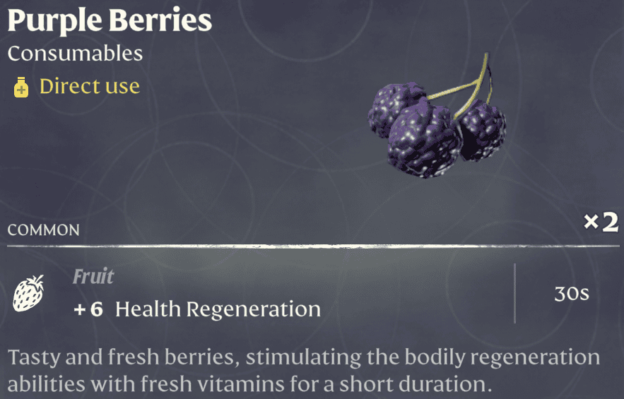 Enshrouded Purple Berries