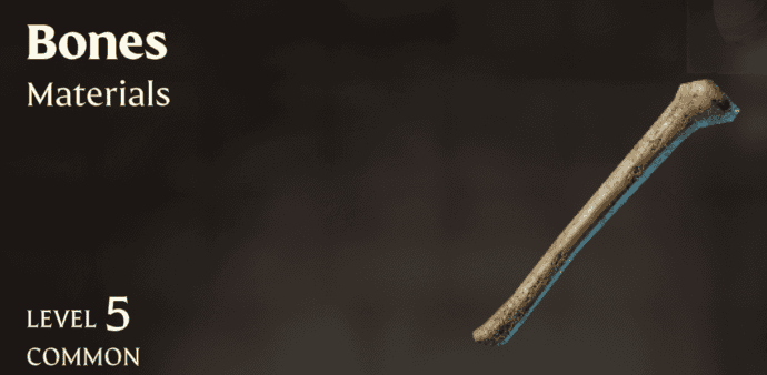 Enshrouded Bones | gamenautica Enshrouded Bones