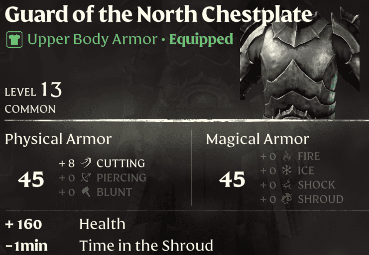 Enshrouded Guard of the North Chestplate