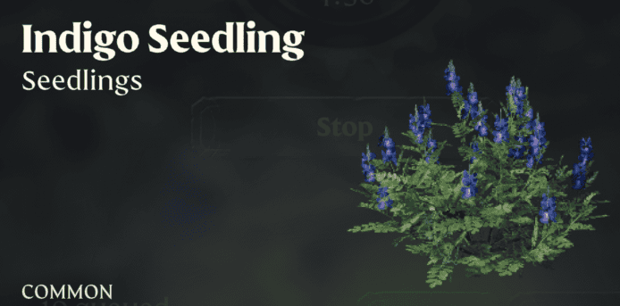 Enshrouded Indigo Seedling | gamenautica Enshrouded Indigo Seedling