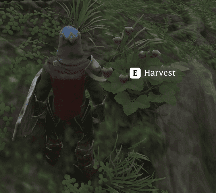 Enshrouded Pick up Strawberry | gamenautica Enshrouded Pick up Strawberry