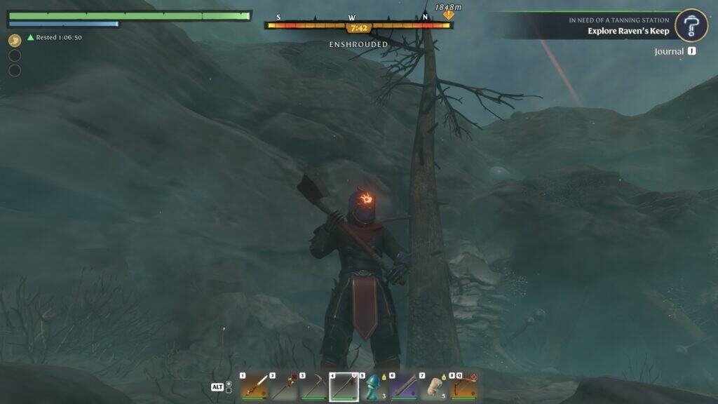 Enshrouded Shroud Tree