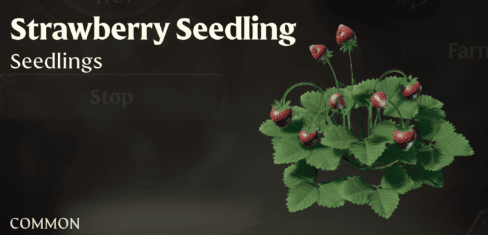 Enshrouded Strawberry Seedling | gamenautica Enshrouded Strawberry Seedling