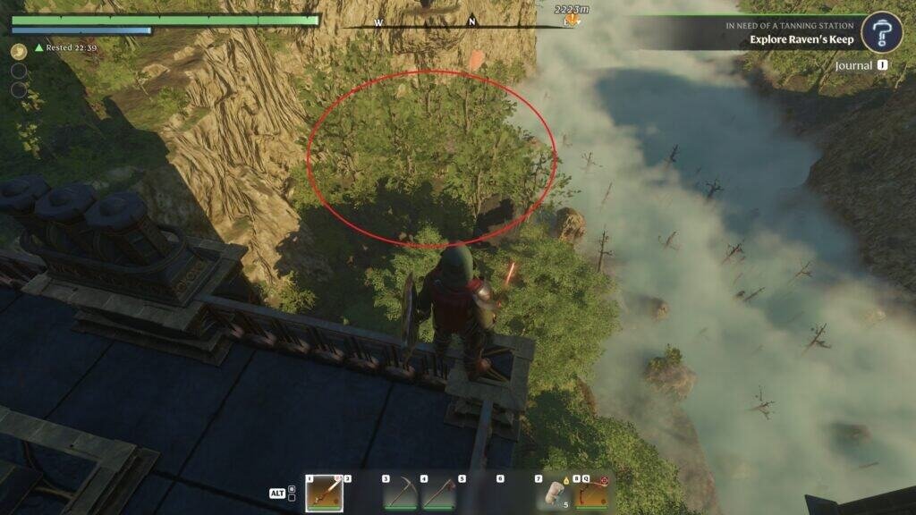 Enshrouded Top of the Revelwood spire facing North