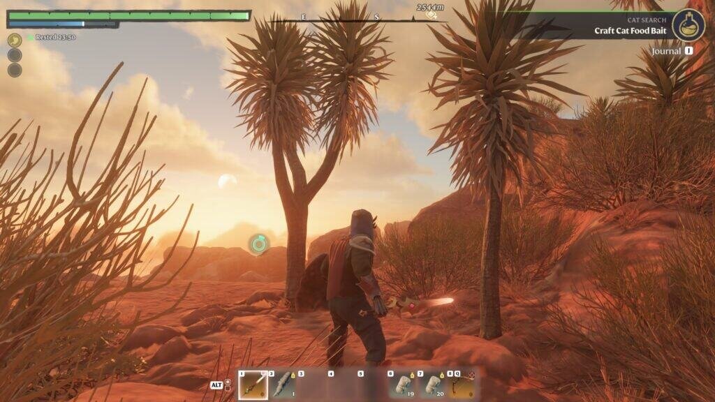 Enshrouded Cut down Palm trees | gamenautica Enshrouded Cut down Palm trees