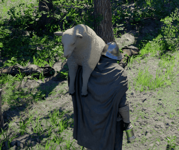 Carry Wooly back to William