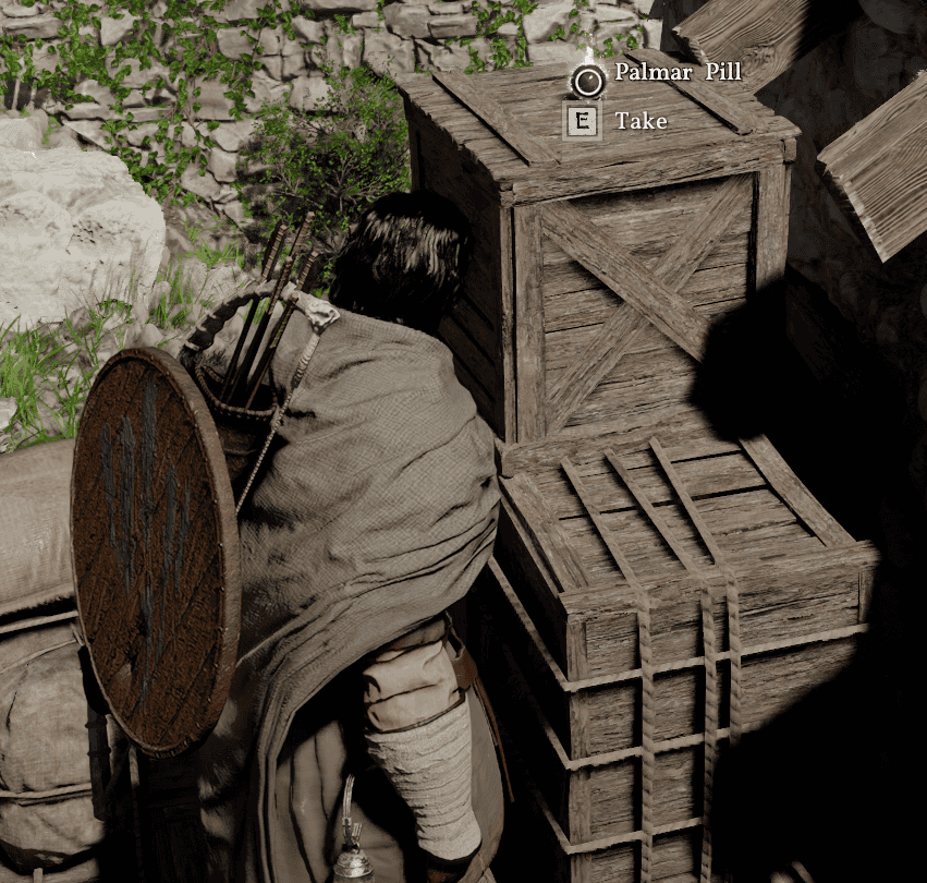 Crimson Desert Pick up Palmer Pill