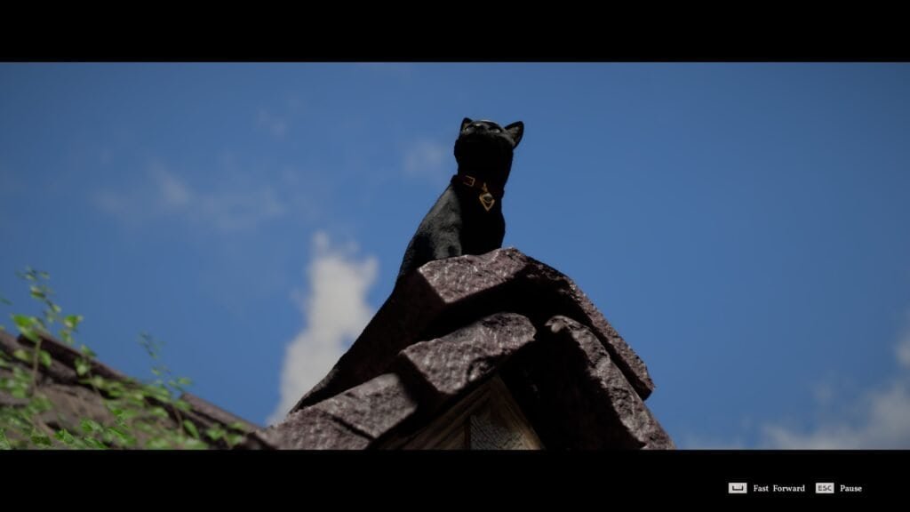 Crimson Desert Retrieve the cat