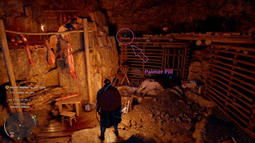 Palmer Pill Location