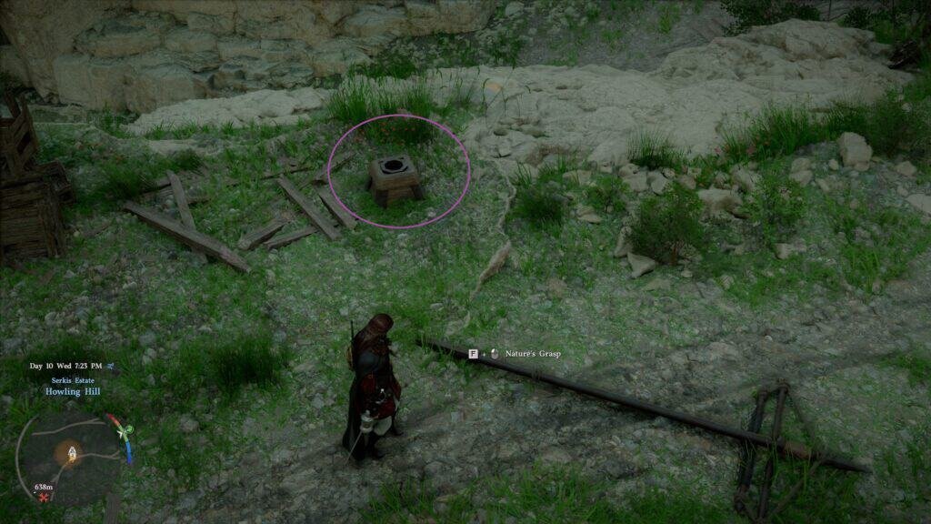 Use Natures grasp and place the Banner in the hole