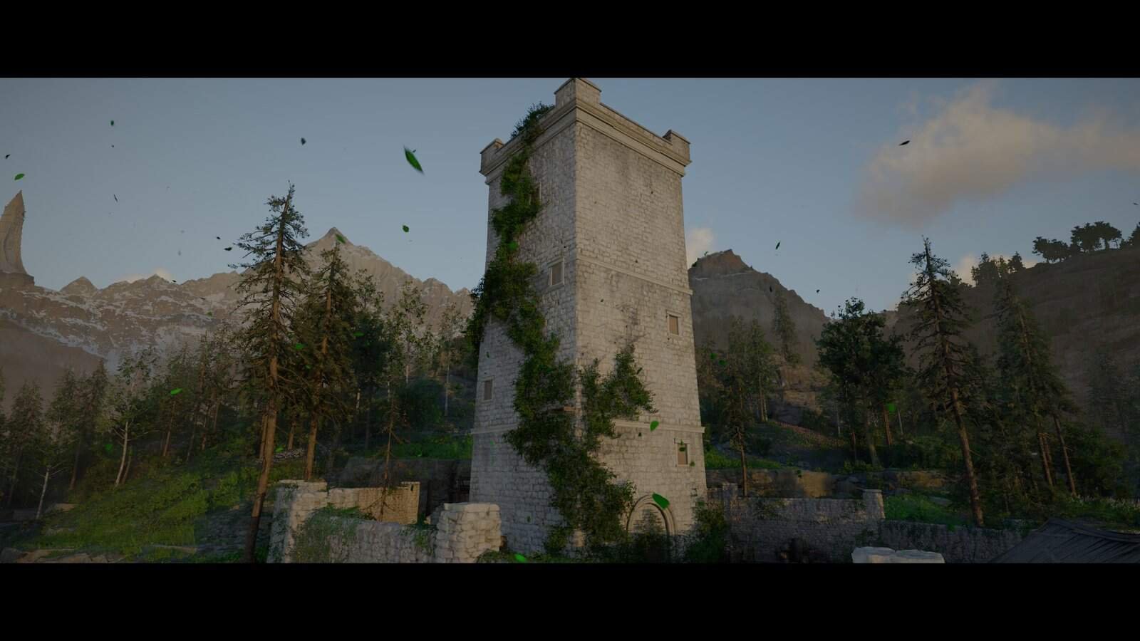 Where the light leads