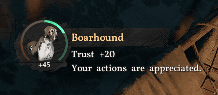 +20 trust