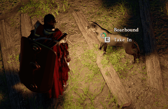 Take in the dog