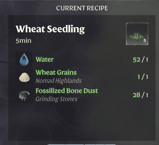 Wheat Seedling